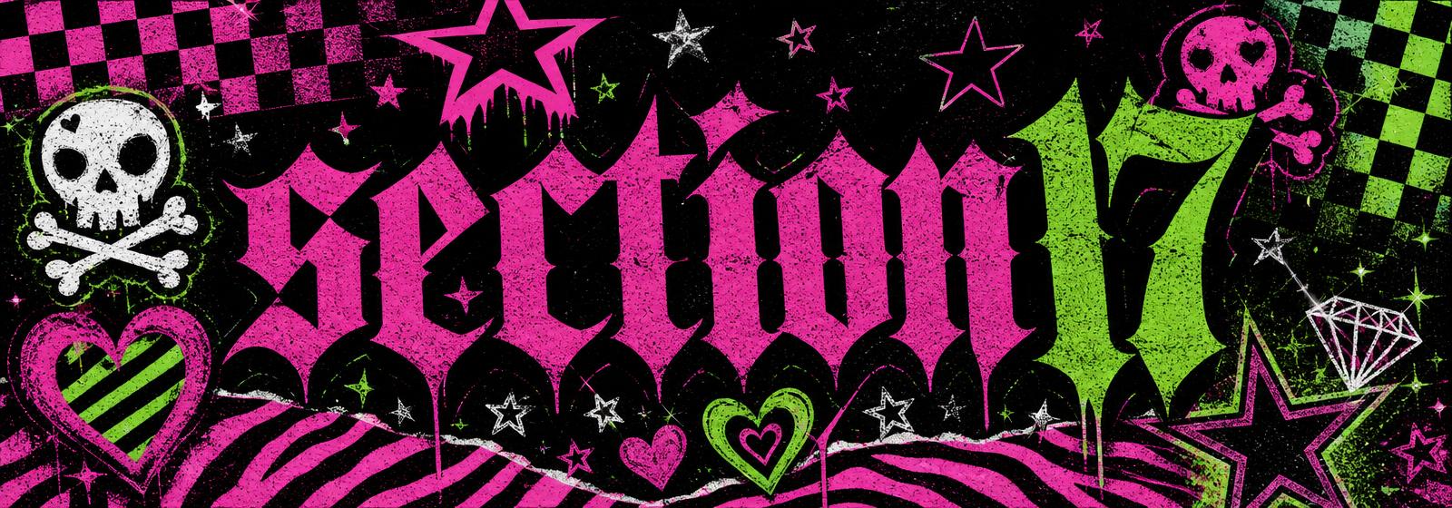 section17 custom profile banner